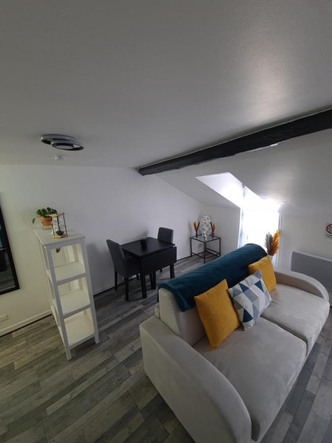 Un Appartement Qui A Du Chien Épernay Eksteriør billede
