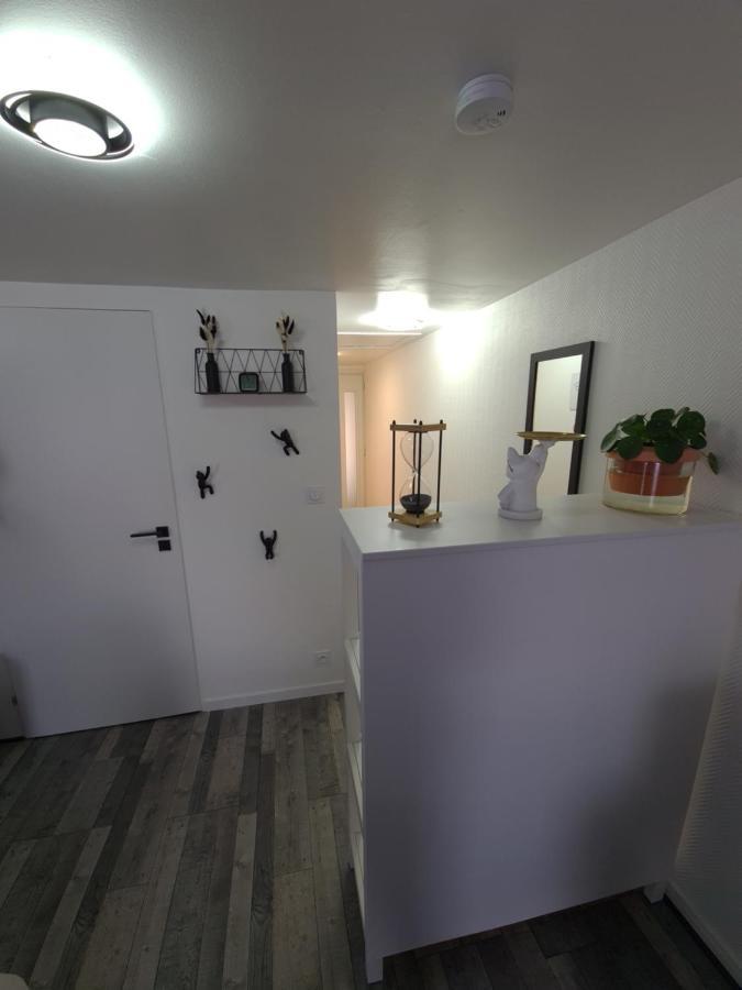 Un Appartement Qui A Du Chien Épernay Eksteriør billede