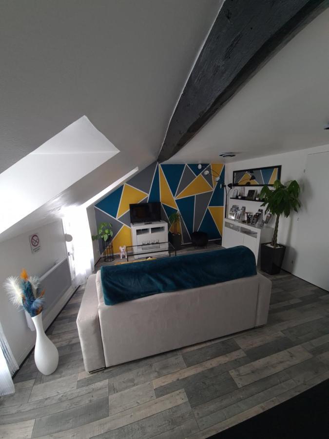 Un Appartement Qui A Du Chien Épernay Eksteriør billede